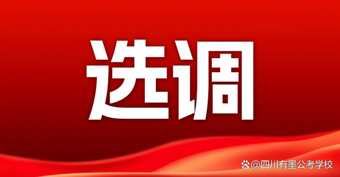 四川选调生