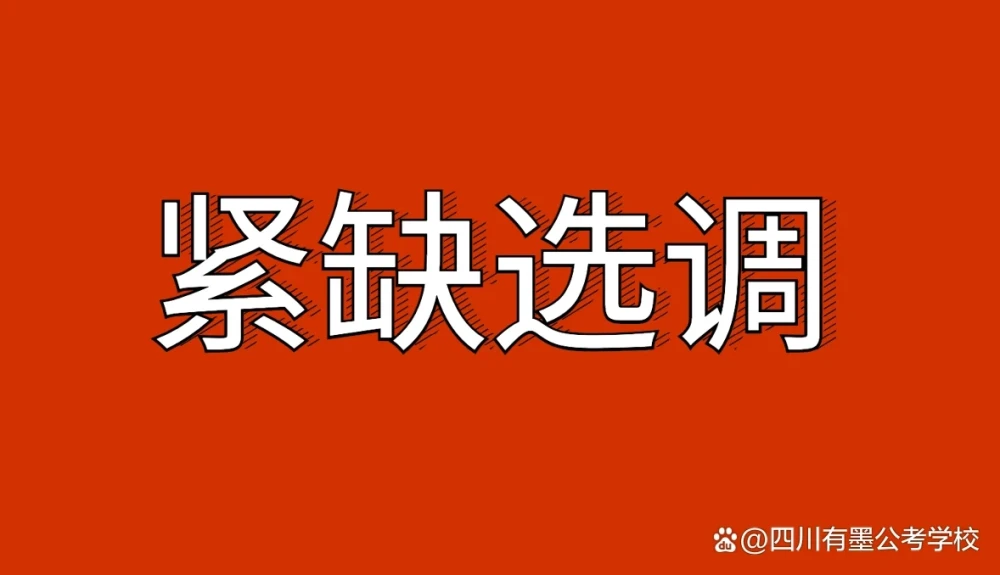 2027届四川紧缺选调